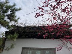 -杭州植物园