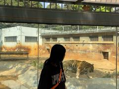 -昆明动物园