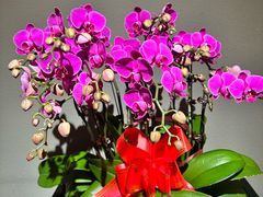 -长安记·大美陕菜(大族广场店)