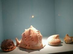 -常州海昌海洋探索馆