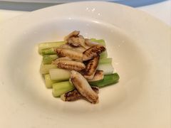 -福1015(愚园路店)