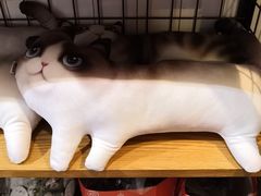 -猫咪博物馆(顶澳仔猫街店)