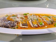 清蒸白水鱼-双子楼大酒店(城开国际写字楼店)