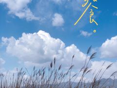 -野鸭湖国家湿地公园