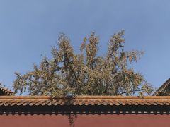 -故宫钟表馆
