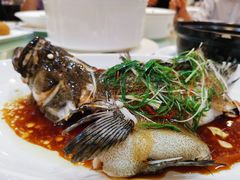 清蒸老虎斑-君德澜酒家·创意粤菜(金山谷店)