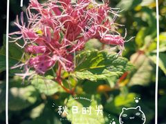 -国家植物园