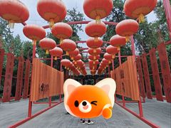 -关林