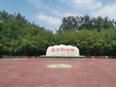 -莲花池公园