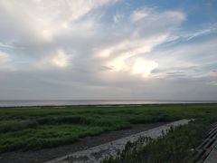 -南汇嘴观海公园