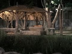 -清迈夜间动物园