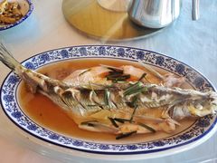 清蒸白水鱼-洞天食府(北大街店)