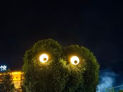 -特克斯八卦城