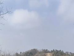 -青龙山国家森林公园