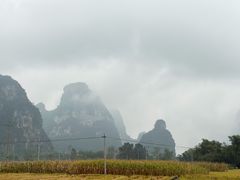 -明仕田园