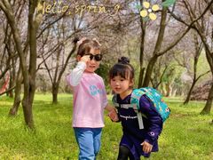 -蜀冈西峰生态公园