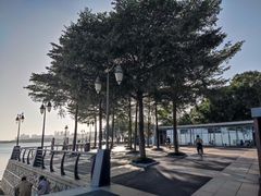 -深圳湾公园(南山区)