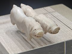 -亳州博物馆