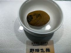 -仪征博物馆