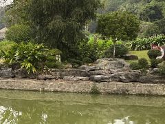 -广西壮族自治区药用植物园