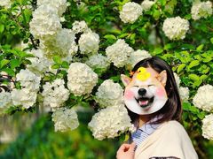 -杭州城北体育公园