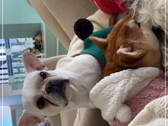 -怪兽屋·羊驼·猫咖·狗咖(俊华广场店)