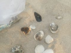 -嵊泗基湖沙滩