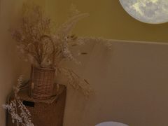 -伊斯坦布尔土耳其清真咖啡餐厅