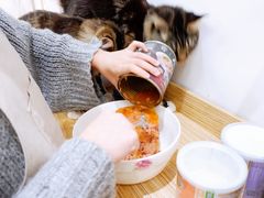 -COLOR PETS 撸猫馆·购猫·猫咖(长风大悦城店)