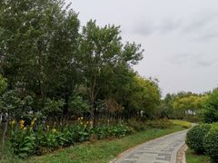 -东疆建设开发纪念公园
