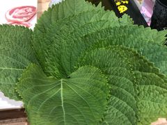 -权金城(龙旗店)