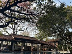 -喜洲吧·江畔老船厂·庭院餐厅(喜临院店)