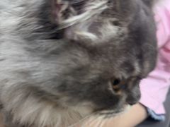 -佳雯宠物医院·皮肤科·内外科(春晓路分院)