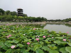 -石家庄市动物园