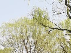 -海淀公园