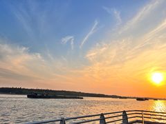 -上海滨江森林公园