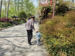 -合肥滨湖国家森林公园