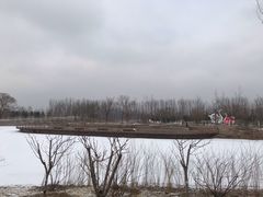 -东郊湿地公园
