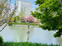 -嘉定紫藤园