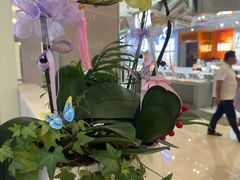 -福田卓悦INTOWN购物中心