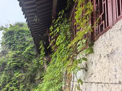 -大慈岩风景区