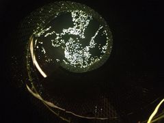 -苏州金鸡湖中茵皇冠假日酒店