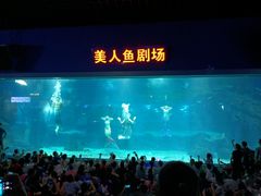 -福州罗源湾海洋世界旅游区