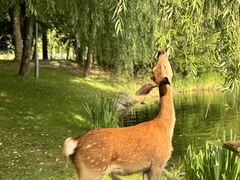 -养云安缦吧THE BAR