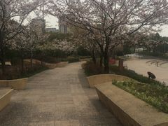 -新江湾城公园