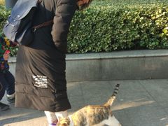 -苏州河梦清园环保主题公园