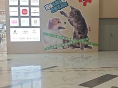 -凯德MALL(望京店)