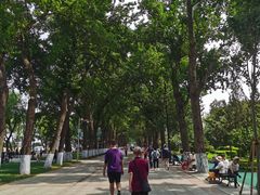 -人民防洪胜利纪念塔