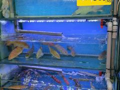 -钱塘府海鲜餐厅