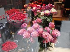 -ROSEONLY诺誓(磐基中心店)
